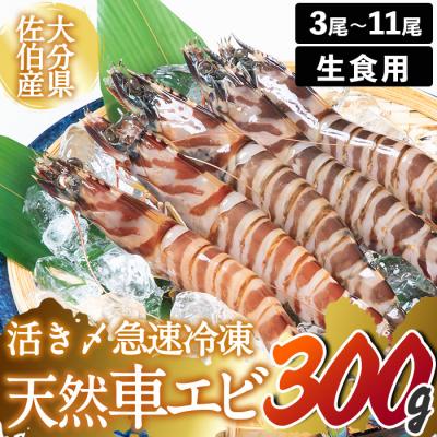 ふるさと納税 佐伯市  天然 活き車エビ 生食用 (計300g)