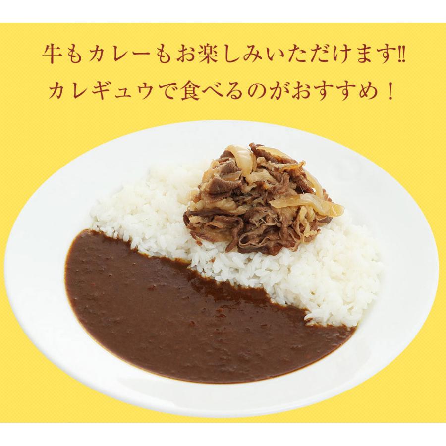 (メーカー希望小売価格9500円→4580円) 牛丼 牛丼の具 ＜松屋＞カレーギュウグルメ20個（プレミアム仕様牛めしの具×10 オリジナルカレー×10）