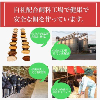 ふるさと納税 南九州市 5等級黒毛和牛霜降り肩ロースすき焼き・しゃぶしゃぶ400gシート巻き