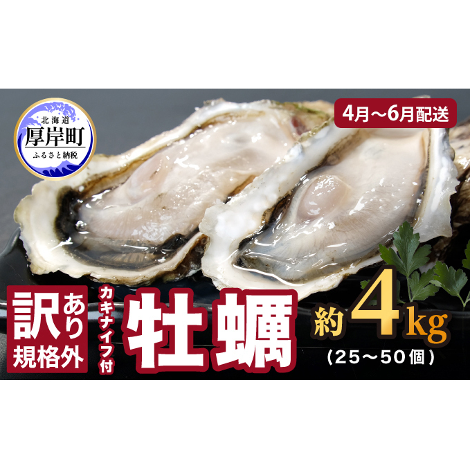 4月～6月配送 訳あり 牡蠣 北海道厚岸産 殻付カキ 約4kg (25～50個) カキナイフ付 生食