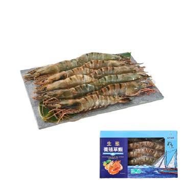 [家速配]冷凍生態養殖草蝦ASC (每盒約400g/10尾)