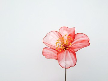 椿花【紅白・二】