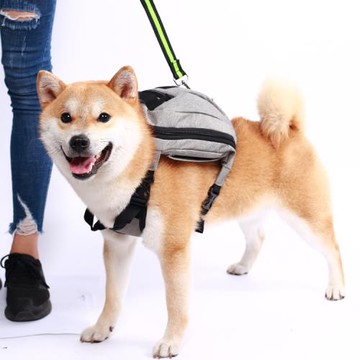 和氣丸遛狗腰包柯基法斗柴犬狗外出便攜包寵物胸前背包自背包雙肩