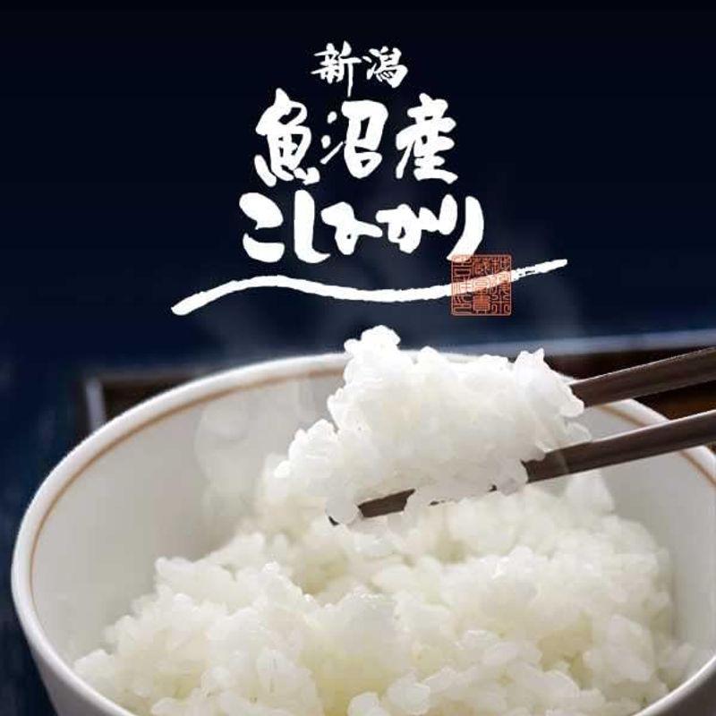 魚沼産コシヒカリ 特別栽培米 ギフト 5kg 祝丸米袋入り(赤)