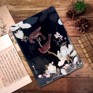 資料夾-海棠玉蘭