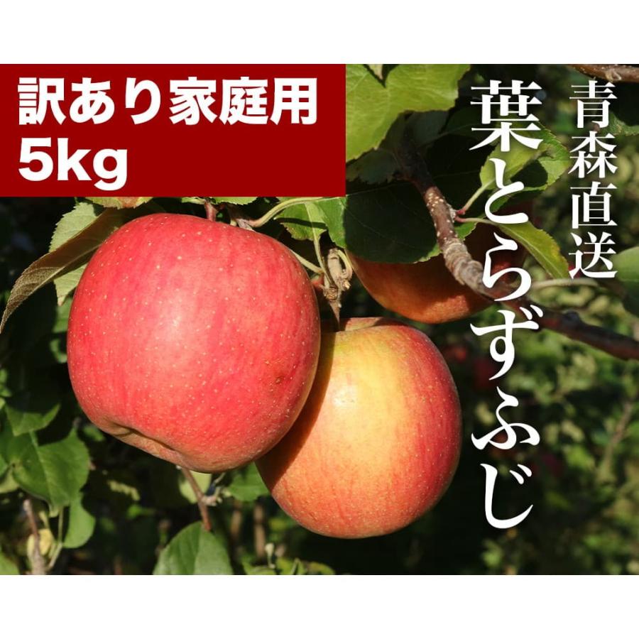 RED APPLE 青森直送 12月上旬より順次出荷 葉とらずふじ 訳あり家庭用 約5kg りんご 林檎 果物 フルーツ ギフト 旬