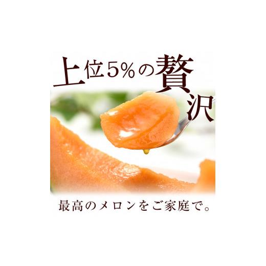 ふるさと納税 鹿児島県 志布志市 b5-089 数量限定！食べるタイミングがわかるメロン「秘蔵っ娘」赤玉(赤肉)2個