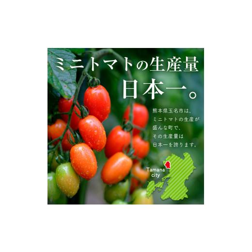 ふるさと納税 熊本県 玉名市 『大家ファーム』のミニトマト アイコ 2kg 熊本県玉名