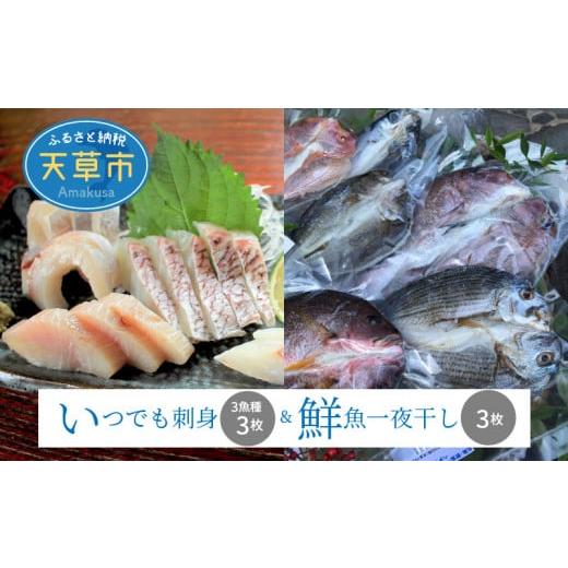 ふるさと納税 熊本県 天草市 S059-005_いつでも刺身 3魚種 3枚＆鮮魚一夜干し 3枚セット