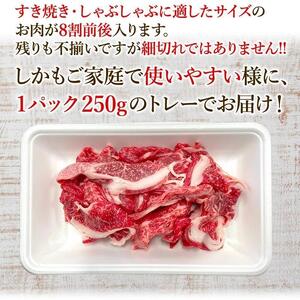 一頭買い 神戸牛 訳あり 切り落とし500ｇ（500ｇ×1パック） 神戸キングミート