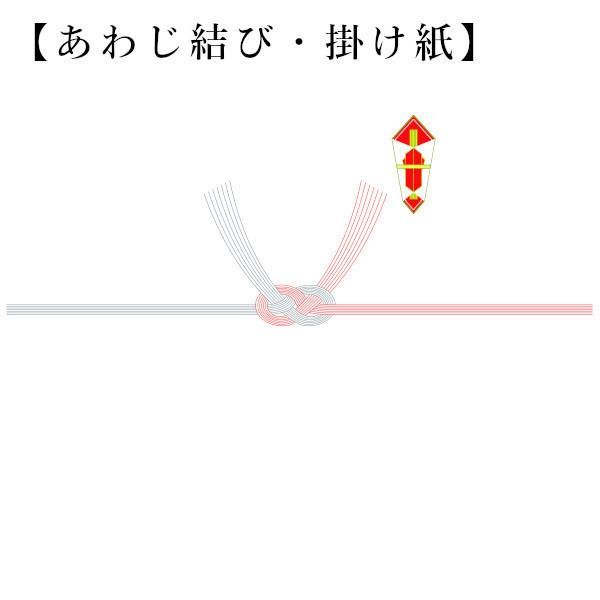 新米 令和５年産 贈り物 お米 5kg 送料無料 コシヒカリ 無洗米 白米 5kg×1袋 茨城県 産直 五ツ星お米マイスター厳選米 内祝い 御祝い お祝い