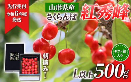 山形県産 朝摘みさくらんぼ 紅秀峰500g ギフト箱入り FSY-0346