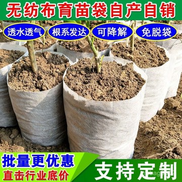 白色無紡布育苗袋批髮營養袋一次性營養鉢加厚美植樹袋農用花盆🔥815🔥 CH3S