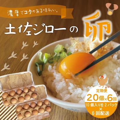 ふるさと納税 四万十市 濃厚でコクのある味わい!のびのび育った土佐ジローの自然卵20個(10個入り×2パック)