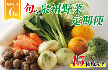 泉州野菜 定期便 全6回 15種類以上 詰め合わせ 国産 新鮮 冷蔵