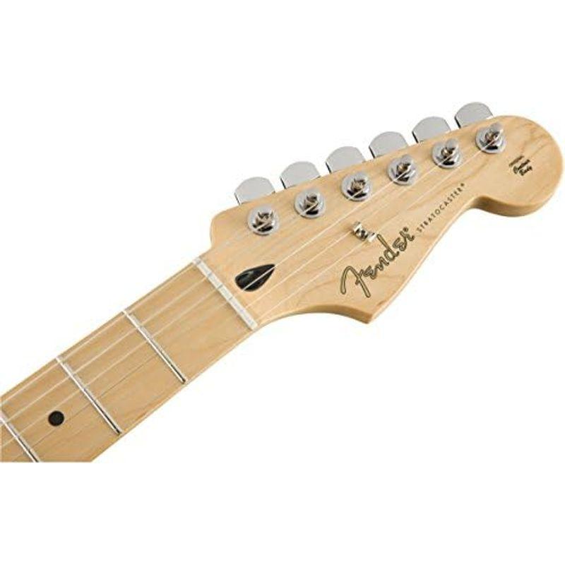 Fender エレキギター Player Stratocaster? Plus Top, Pau Ferro Fingerboard, To