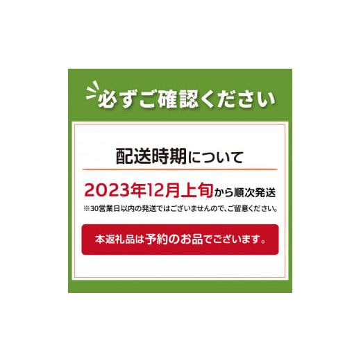 ふるさと納税 北海道 北見市 サロマ湖の干し牡蠣 魚介類 カキ 貝