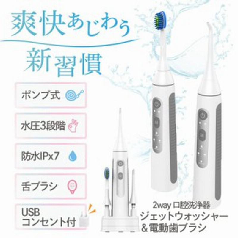 海外ブランド  aquapick 口腔洗浄器 変換コンセント付き 電動歯ブラシセット + その他