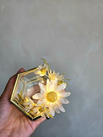【沾浸藝術•玻璃飾盒】洋甘菊。小夜燈。生日禮物