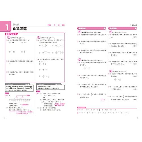 これ1冊でしっかりやり直せる中学数学