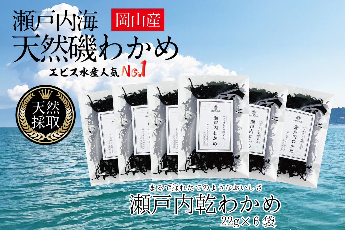 風味豊かな 瀬戸内 わかめ 22g×6袋 エビス水産