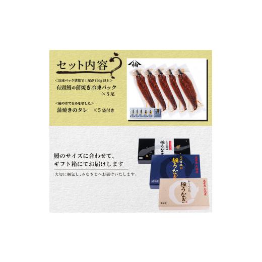 ふるさと納税 鹿児島県 志布志市 楠田の極うなぎ 蒲焼き 170g以上×5尾(計850g以上) c7-004