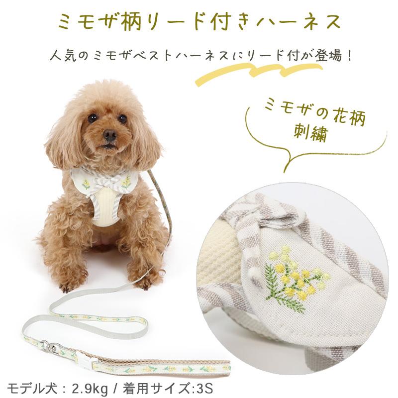 Sサイズ リード ハーネス リボン チェック レッド 犬 猫 オール