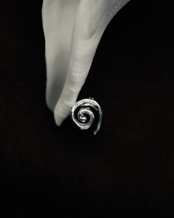 Tidal Coil Earrings | 潮蜷耳環