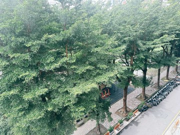 專簽~雲門登峰~兩房平車~品味裝潢~樹海居｜台中市西區大忠南街