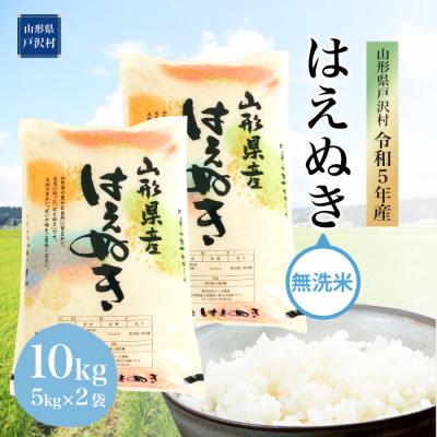 ふるさと納税 戸沢村 令和5年産 はえぬき10kg　山形県 戸沢村 産