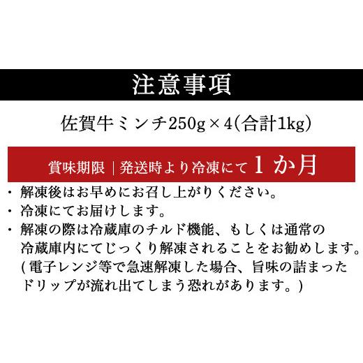 ふるさと納税 佐賀県 唐津市 厳選佐賀牛 牛ミンチ 250g×4(合計1kg) 佐賀牛100％使用！ご家庭でお好きな料理に大変身！ハンバ−グ ミート…