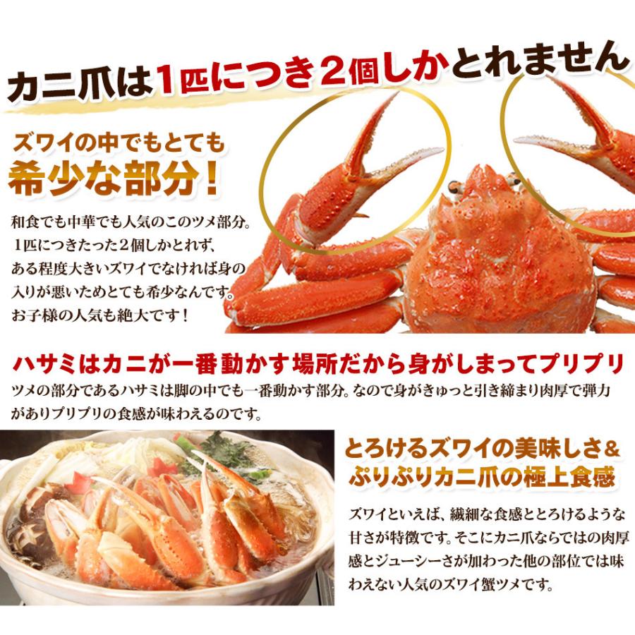 かに カニ 蟹 ズワイガニ ボイル 爪 総重量1kg (内容量750g) つめ ツメ むき身 ギフト 海鮮