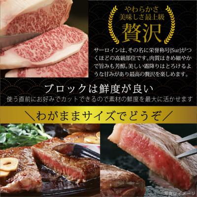 ふるさと納税 美郷町 宮崎牛サーロインブロック約1kg