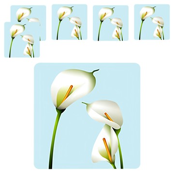 3M 防滑貼片 單裸片  13 x 13cm  花 款式隨機  6片