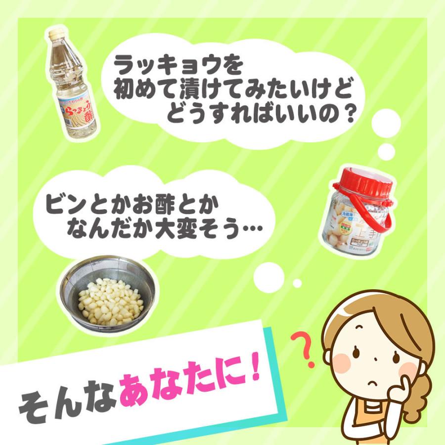 漬け初心者 3点セット らっきょう 芽止め塩漬け 1kgＳ-Ｍサイズ らっきょう酢700ml袋タイプ 鷹の爪2本　 本場福部ふくべ産 山根さんの砂丘らっきょう 冷蔵