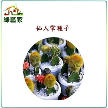 【綠藝家】P07仙人掌種子(多年生)5顆