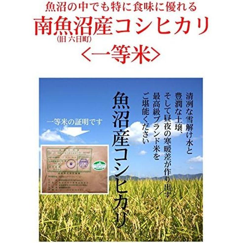 祝・精米新潟 魚沼産 コシヒカリ 1kg 贈答箱