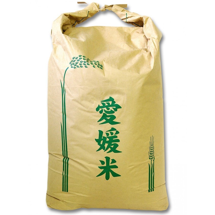 玄米 新米 令和５年産 愛媛県産 玄米 ヒノヒカリ 25kg