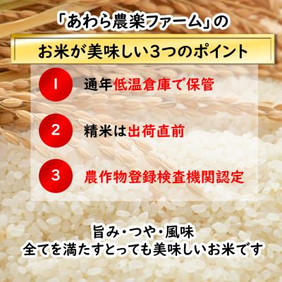 ふるさと納税 あわら市 「いっちょらい」 福井県産 コシヒカリ 無洗米 5kg