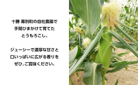 とうもろこし 恵味ゴールド 20本「じゅんかん育ち」北海道 十勝 幕別町