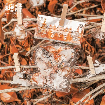 PET 貼紙包 40張 貼紙 素材 咕卡 動物 可愛 手帳 水彩文具 學生 DIY 沐河 moodriver