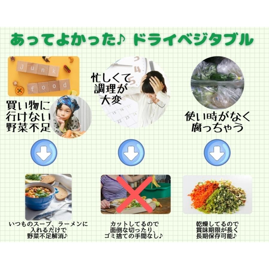 乾燥野菜 乾燥きゃべつ Lサイズ品 4cmカット 100g 契約栽培 エアードライ製法 送料無料 仕送り 一人暮らし 常備菜 時短 お手軽 非常食 即席みそ汁