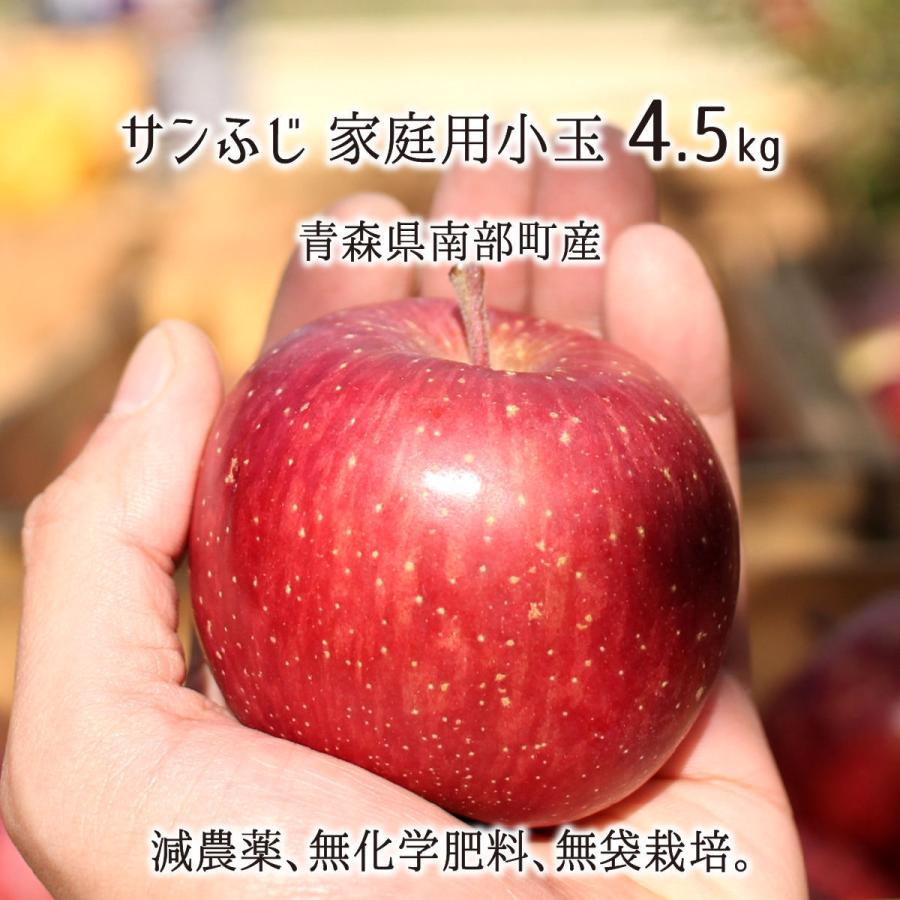 サンふじ 訳あり(小玉) 4.5kg 減農薬 無化学肥料 青森県南部産 りんご 家庭用 23〜30玉 11月下旬〜3月下旬 送料無料