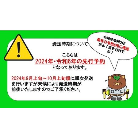 ふるさと納税 もぎたて！桃定期便3回 山梨県甲斐市