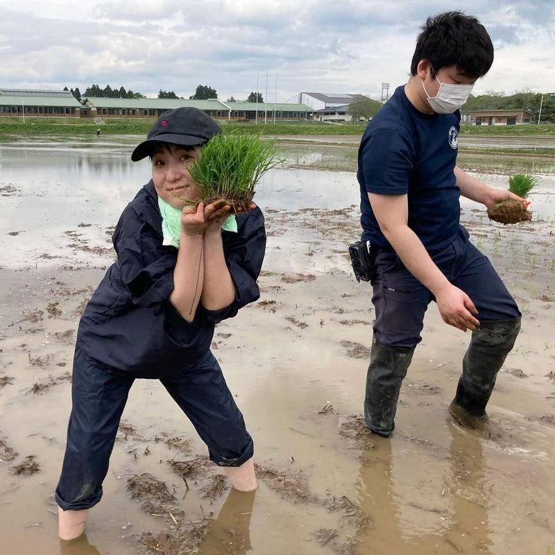 水菜土農園精米令和4年産 秋田県産 あきたこまち 20kg (5kg×4袋) 古代米お試し袋付き