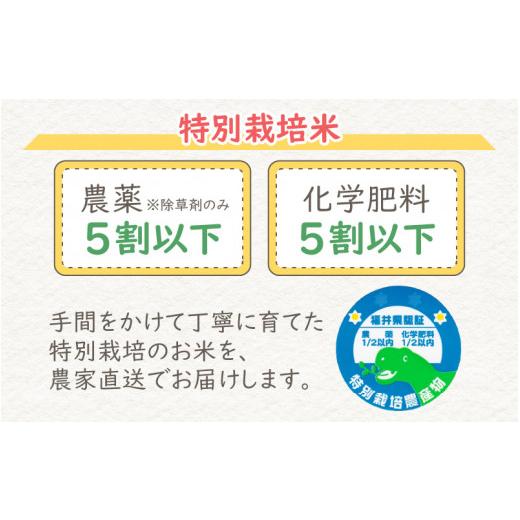 ふるさと納税 福井県 大野市 ミネラル豊富！弱アルカリ性のピロール米 ミルキークイーン 玄米 10kg（5kg×2袋）×12回　計…