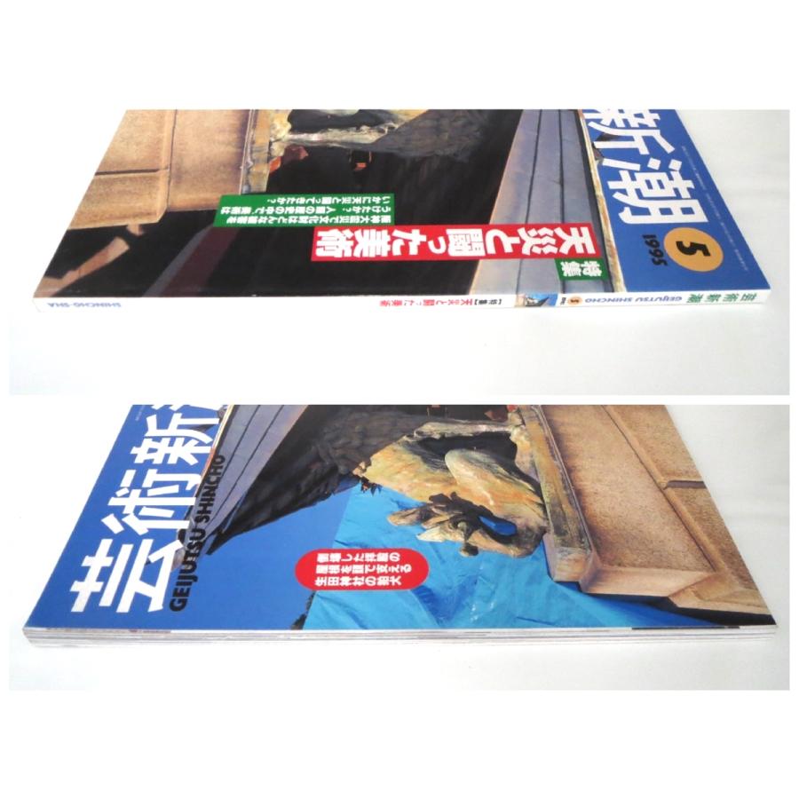 芸術新潮 1995年5月号「天災と闘った美術」阪神大震災 文化財の被害 美術史 噴火 洪水 ポンペイ 安政大地震 関東大震災 山脇道子