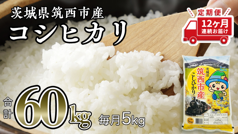  茨城県筑西市産 コシヒカリ5kg 米 コメ こしひかり 定期便12回 60kg 茨城県 単一米 精米 [CH007ci]