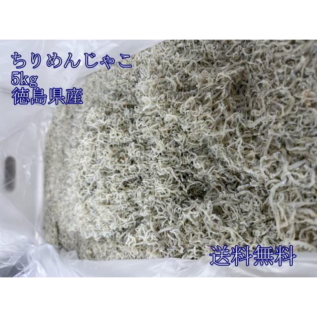 ちりめんじゃこ　5kｇ　ちりめん山椒　徳島県産　小サイズ　ギフト