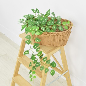 Meric Garden 仿真白斑黃金葛藤 6尺_1入/組